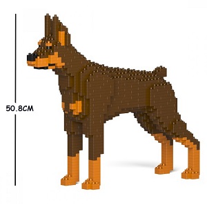 Dobermann Brown (Medium) Dog Leo